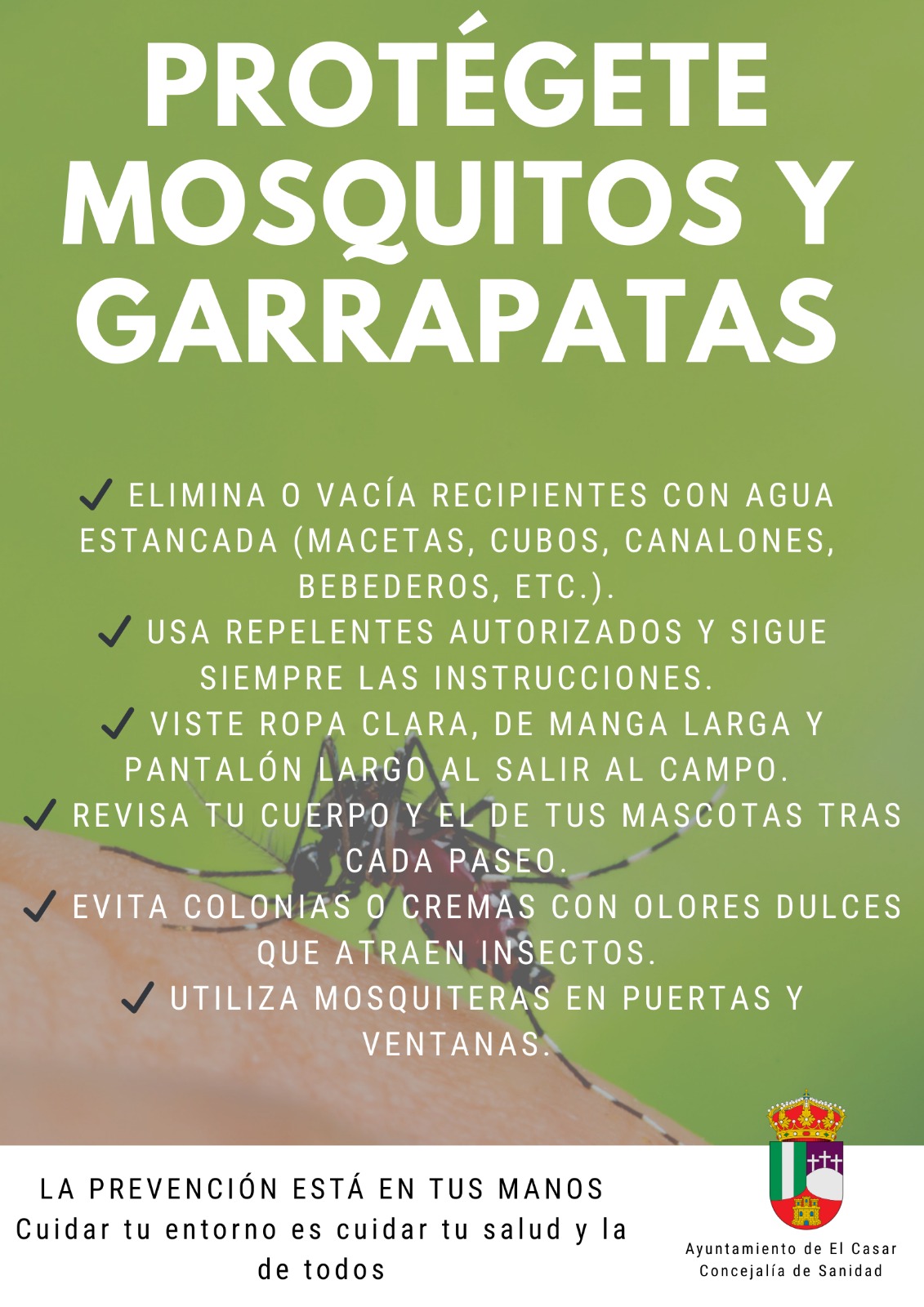 ¡VERANO 2025, PROTÉGETE DE MOSQUITOS Y GARRAPATAS!
