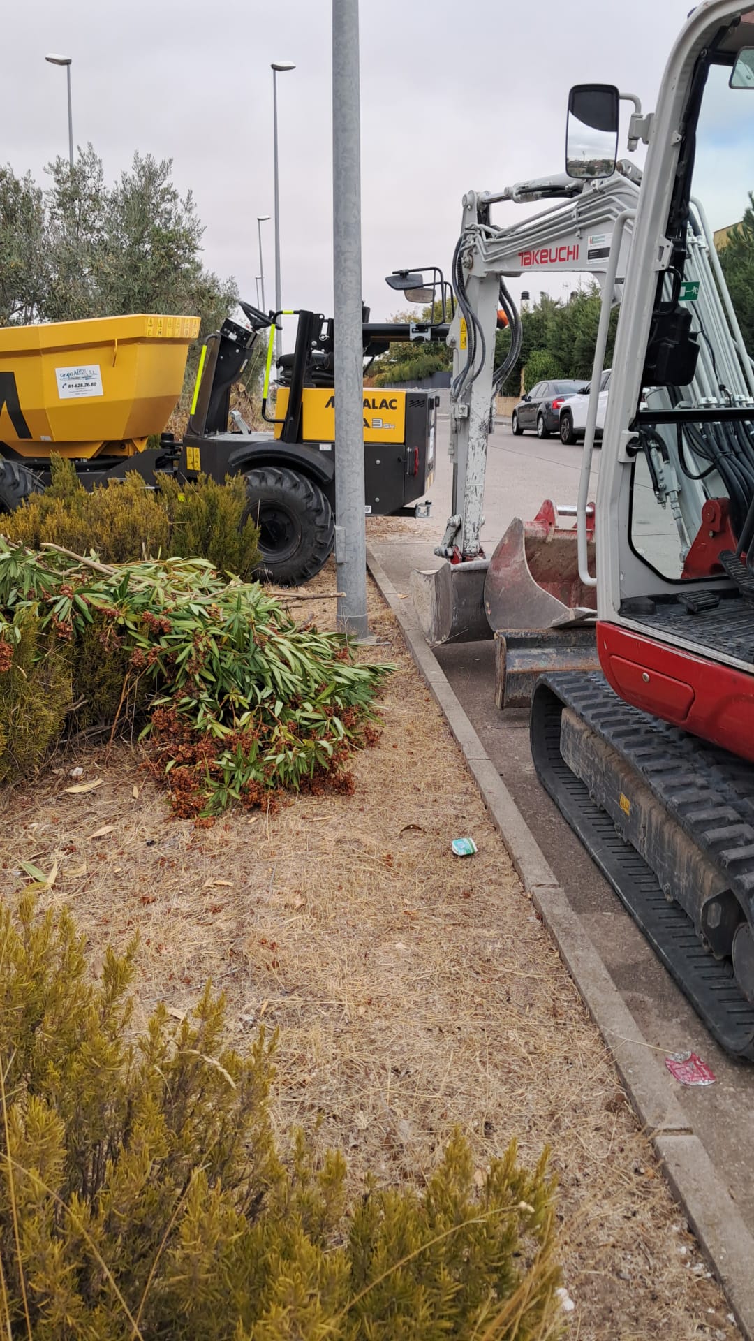 EL AYUNTAMIENTO DE EL CASAR MEJORA LA MEDIANA DE LA AVENIDA DE LOS ARENALES