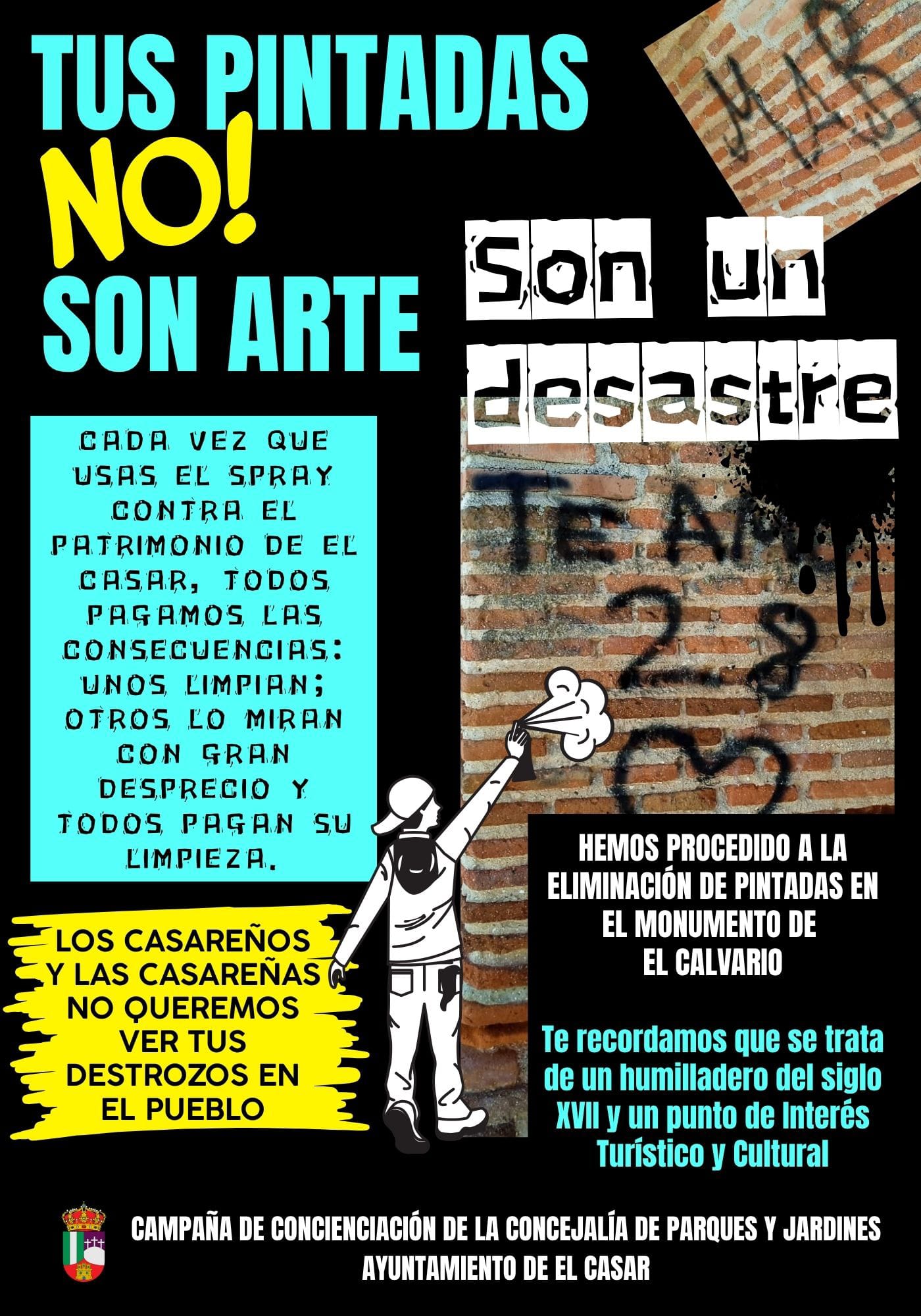 TUS PINTADAS, NO! SON ARTE