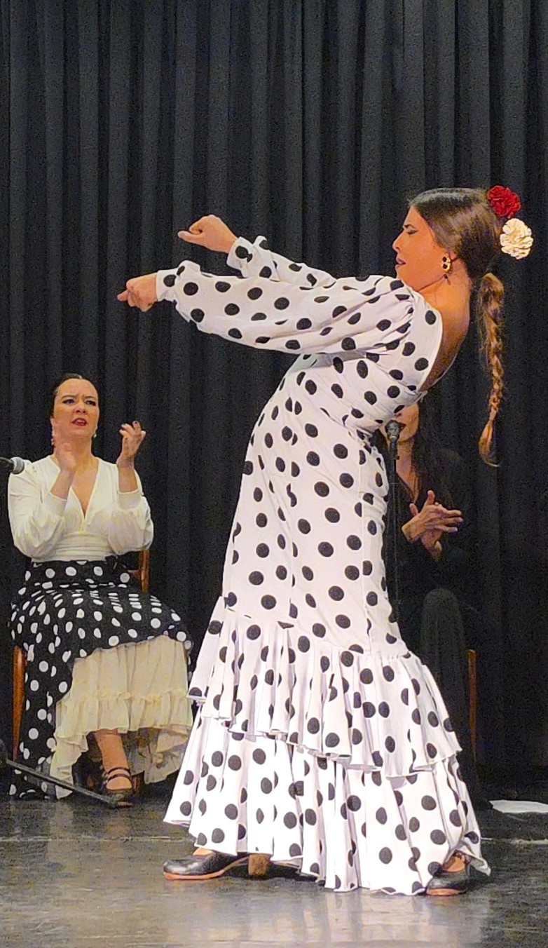 ¡ESPECTACULAR PRIMER TABLAO FLAMENCO ORGANIZADO POR LA AMEC!