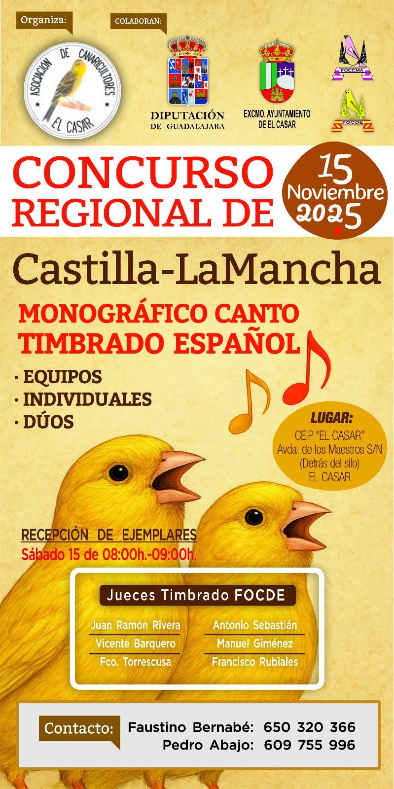 CONCURSO REGIONAL DE CASTILLA-LA MANCHA DE CANTO TIMBRADO ESPAÑOL