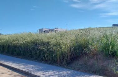 EL AYUNTAMIENTO DE EL CASAR SANCIONARÁ A 218 PROPIETARIOS POR NO REALIZAR EL DESBROCE DE SUS PARCELAS