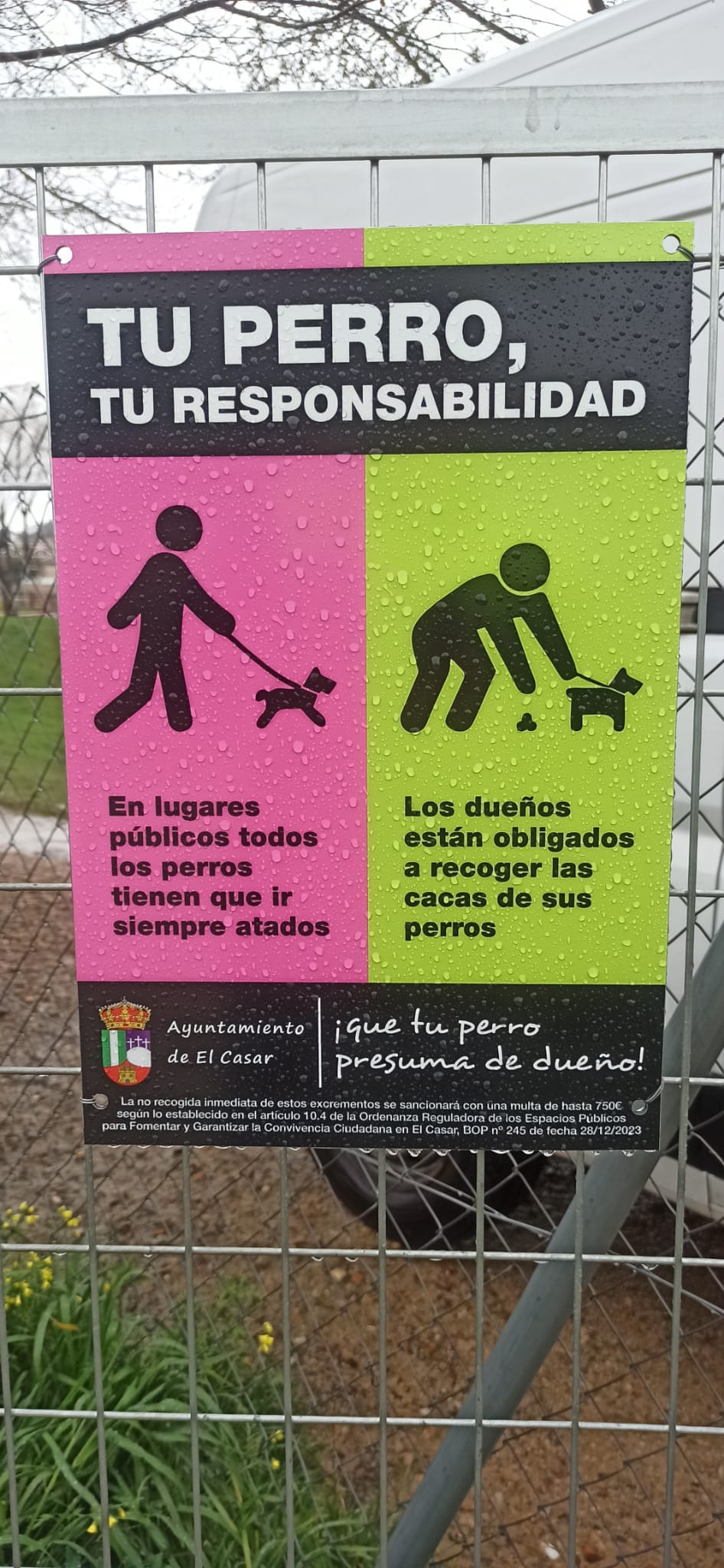 CAMPAÑA DE CONCIENCIACIÓN: “TU PERRO, TU RESPONSABILIDAD”