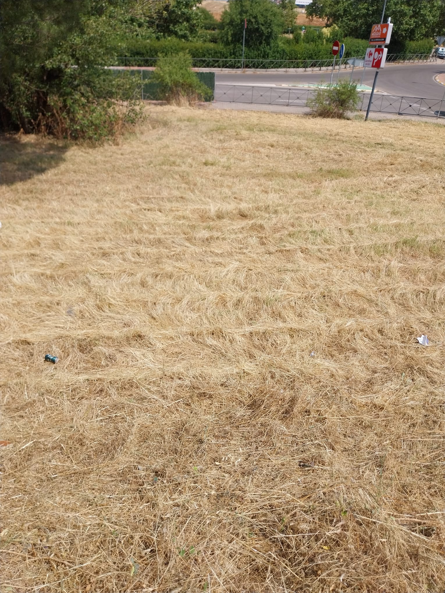 CAMPAÑA DE DESBROCE – SEMANA DEL 7 AL 13 DE JULIO