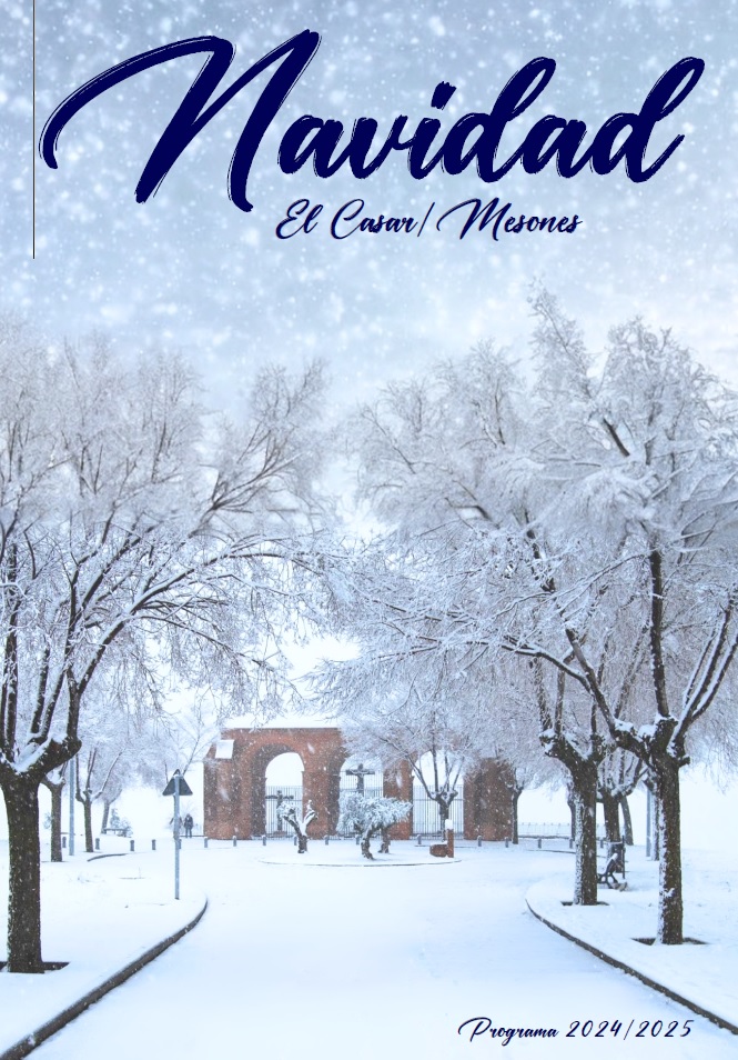 PROGRAMA DE NAVIDAD 2024-2025