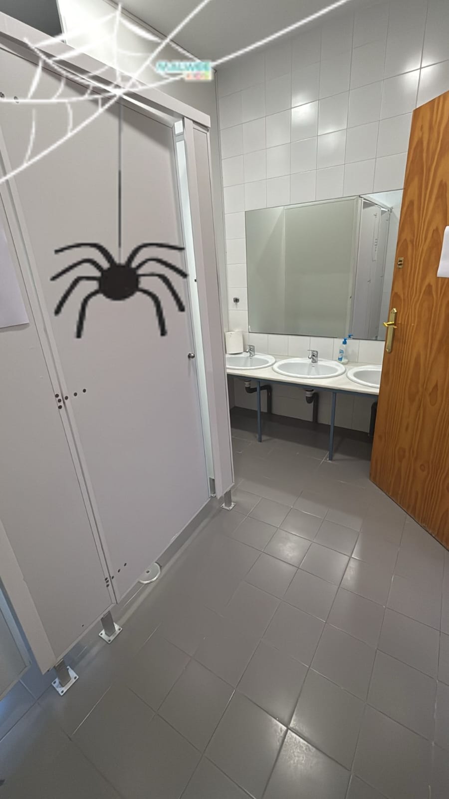 ¡REFORMA INTEGRAL EN MARCHA EN EL CENTRO JOVEN!