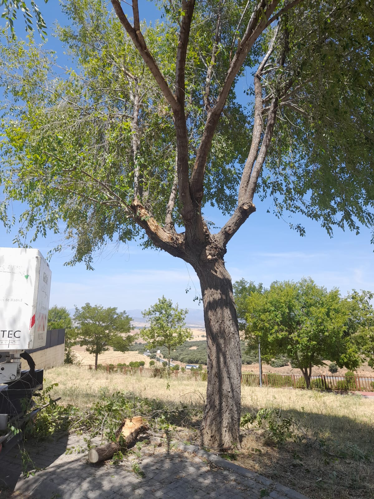 CAMPAÑA DE DESBROCE: SEMANA DEL 14 al 18 DE JULIO