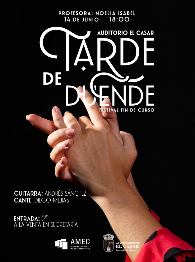 ¡EL DUENDE DEL FLAMENCO LLEGA AL AUDITORIO DE EL CASAR!