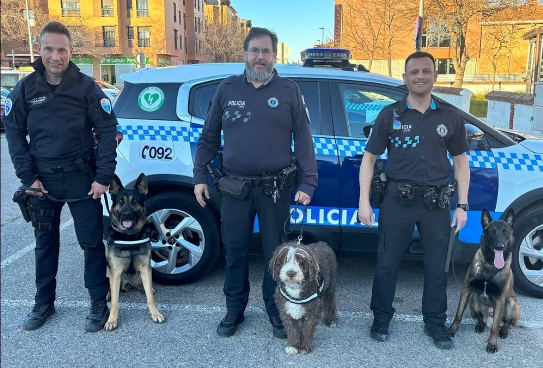 REFUERZO DE SEGURIDAD EN LAS FIESTAS DE EL CASAR 2025